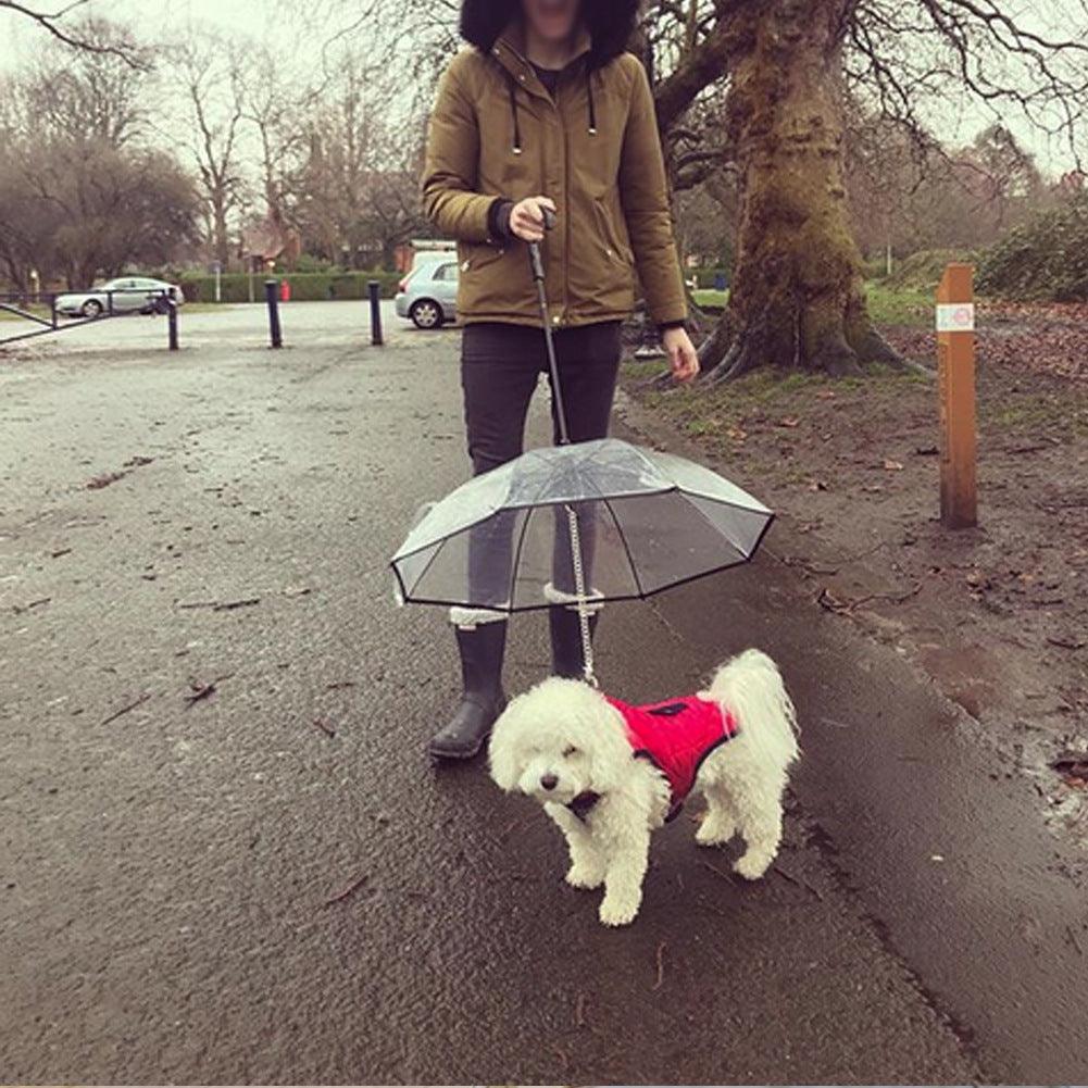 Pet Pawsome Clear Canopy - The Ultimate Pet Umbrella