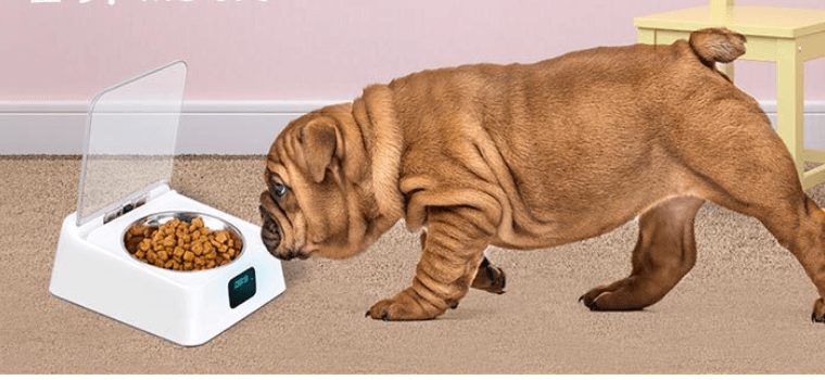 Smartfeed 5G: The Ultimate Automatic Pet Feeder